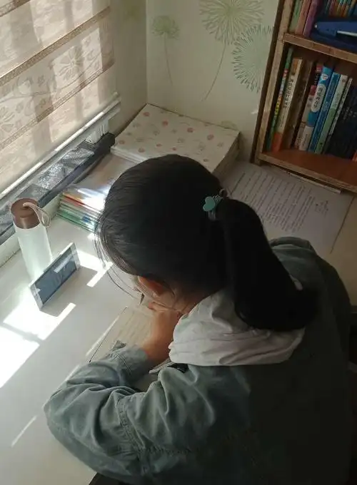 其它 武都区城关中学国家安全教育活动 七年级(11)班 赵思语 写美篇