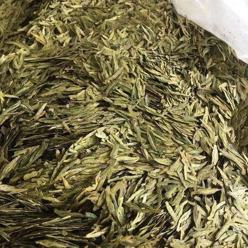 源头直采浙江嵊州越乡高山有机龙井2024新茶绿茶250g