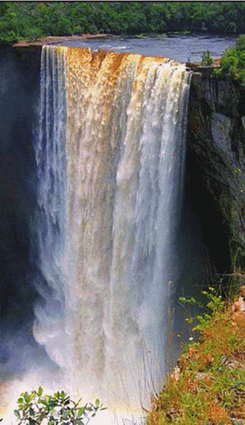 650_1127竖版 竖屏gif 动态图 动图