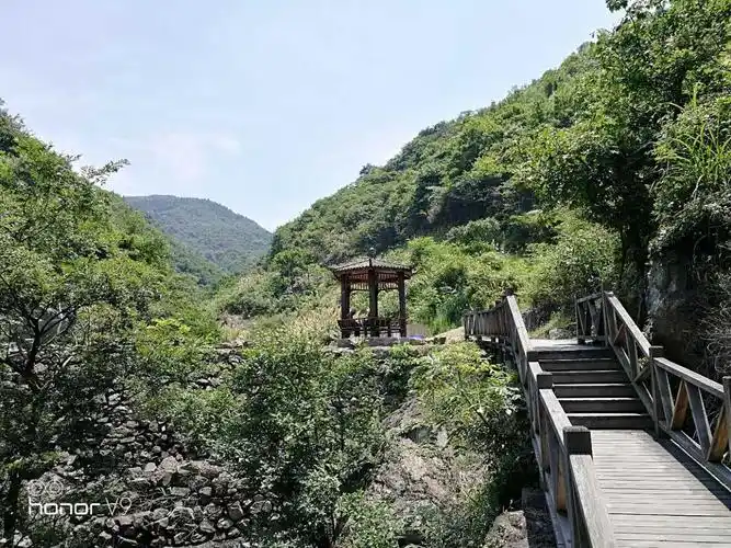 游玩舟山群岛系列之茶人谷