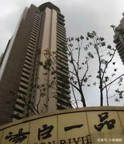 上海最贵汤臣一品小区,里面到底住了那些人?让人难以相信