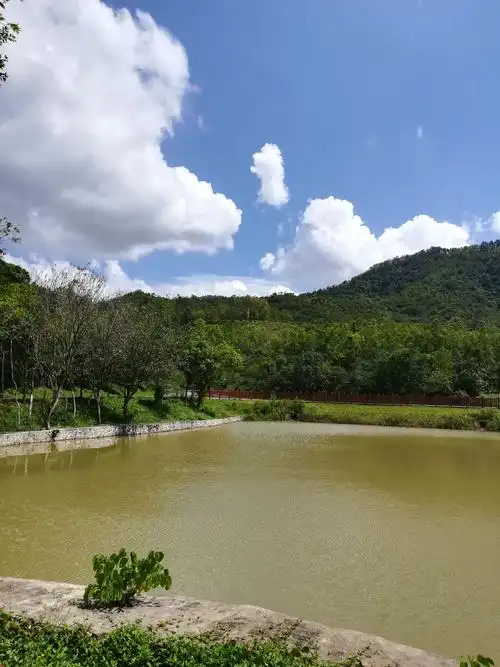 10.2.中山市田心森林公园自驾游