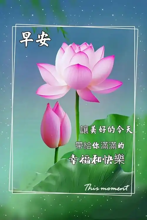 早安问候图片|人生曼妙的风景,竟是内心的从容与淡定