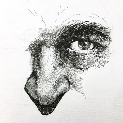 alphonsodunn人体系列钢笔画作品