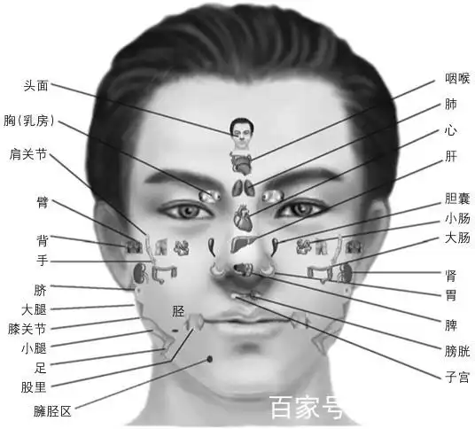 识人先识"面"——面部反射区全知道