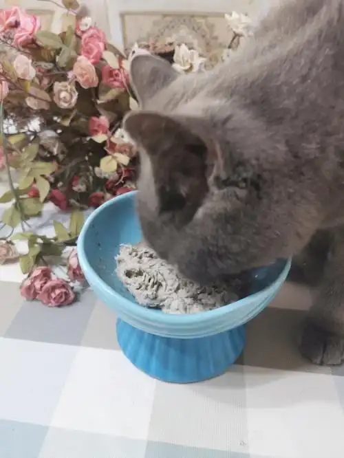 主食罐头这款罐头一共有4个口味,除了传统比较容易见到的鸡/牛/鳕鱼