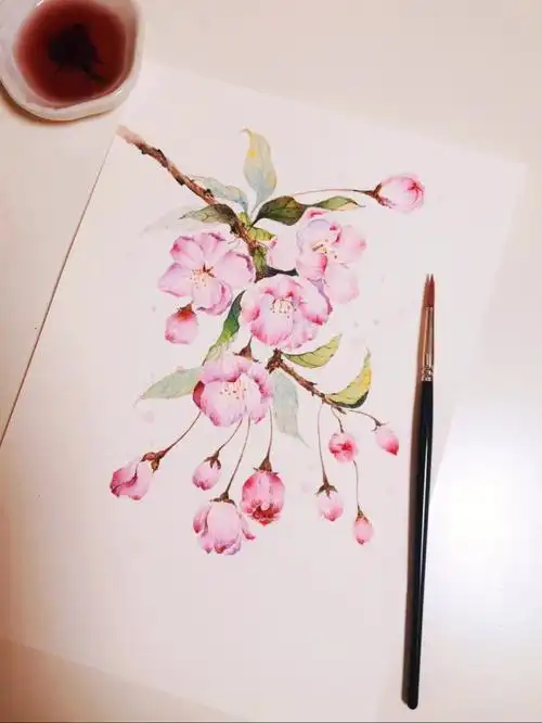 垂丝海棠水彩画春风十里不如你