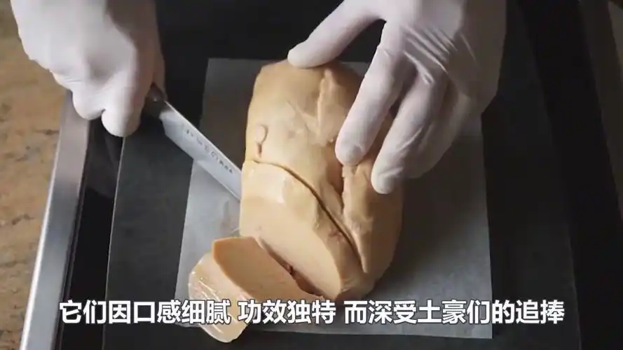 鹅肝被称为"顶级残忍美食",看完整个喂养过程,你还吃得下吗!