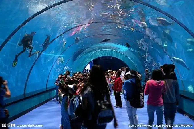 海底世界,蓬莱自助游攻略 - 马蜂窝