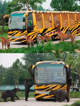 限时优惠上海野生动物园猛兽区大巴车门票