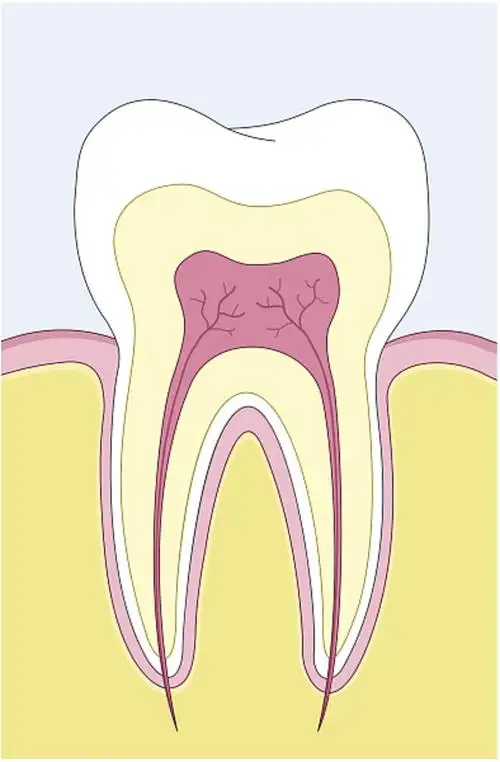 2020-08-22 17:07:47 冷热酸甜,入口牙齿一阵酸爽,可能遭受牙本质