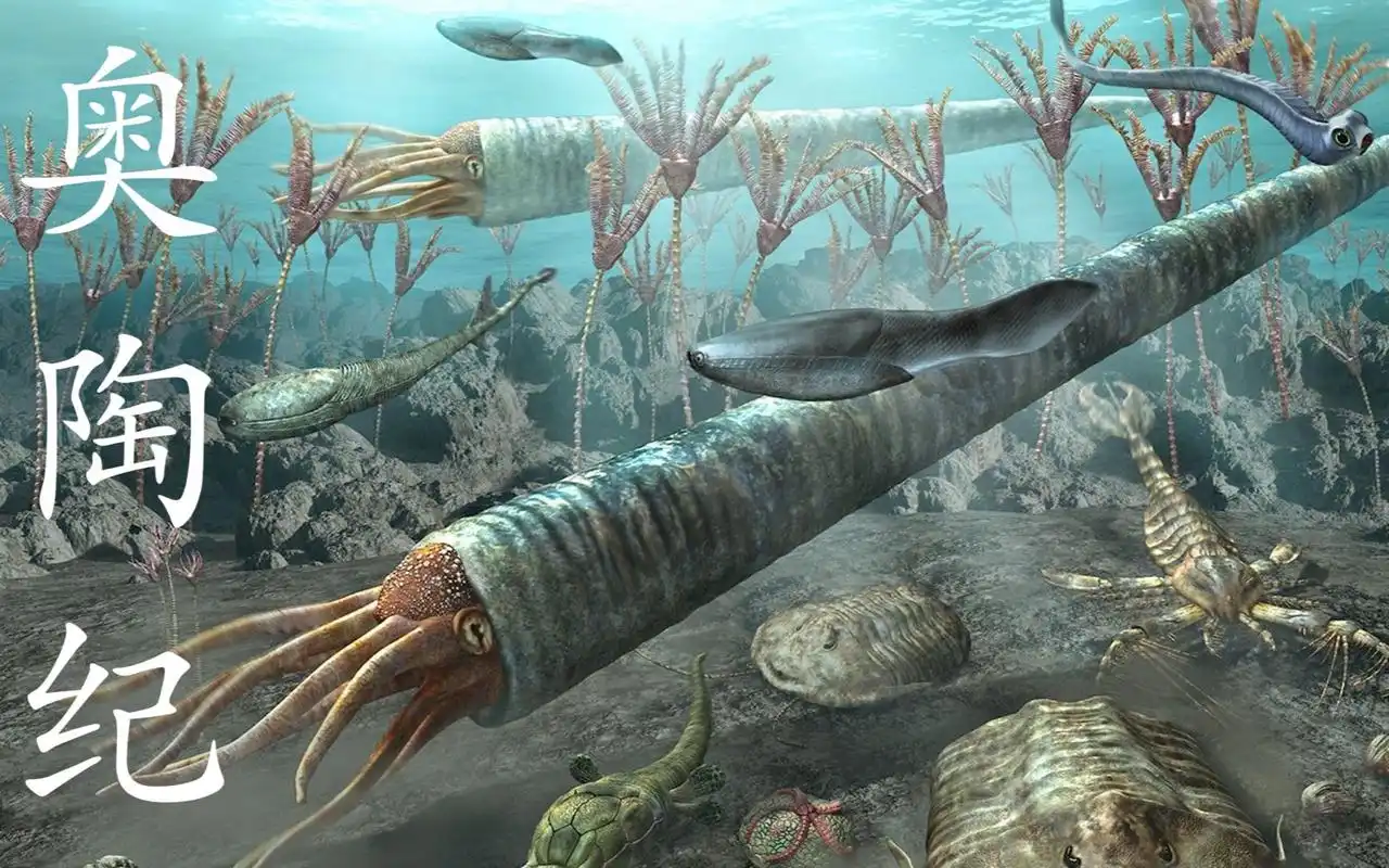 3.1奥陶纪生物大幅射:为海洋众生划个道