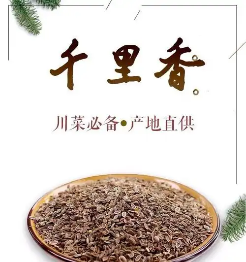 (千里香)千里香500/100香料大全火锅卤菜香料天然增香调味料京选