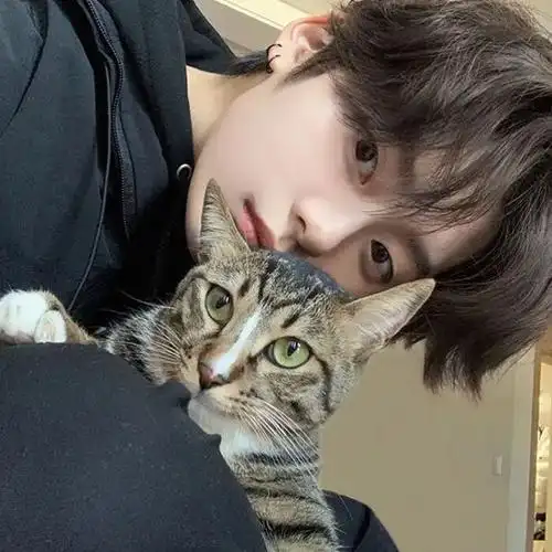 男生女生头像看这里!总有一款是你想要的