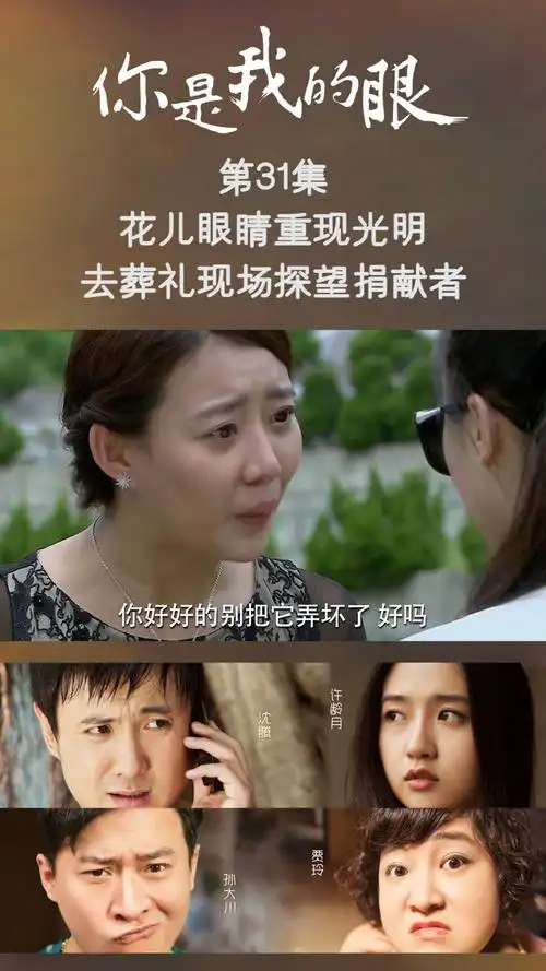 你是我的眼 第三十一集 花儿眼睛重现光明,去葬礼现场探