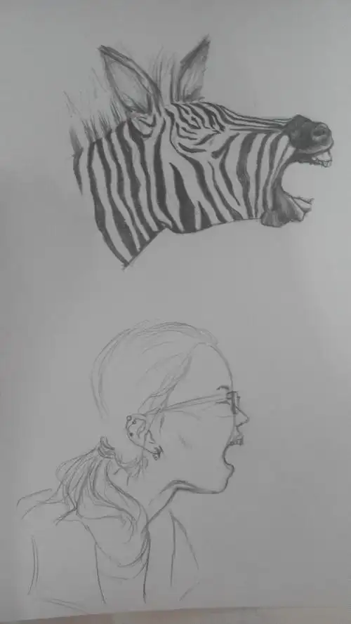 手绘动物拟人化的自画像