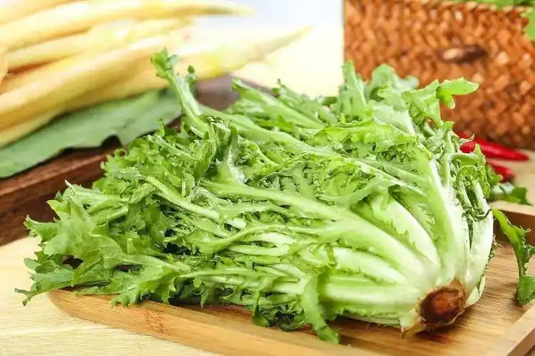 哪些苦味食物既营养又健康?哪些苦味食物吃了可能会有健康隐患呢?