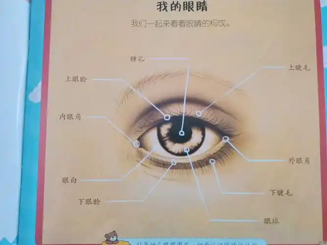 泸西县白水镇代代红幼儿园中班健康活动-《保护眼睛》