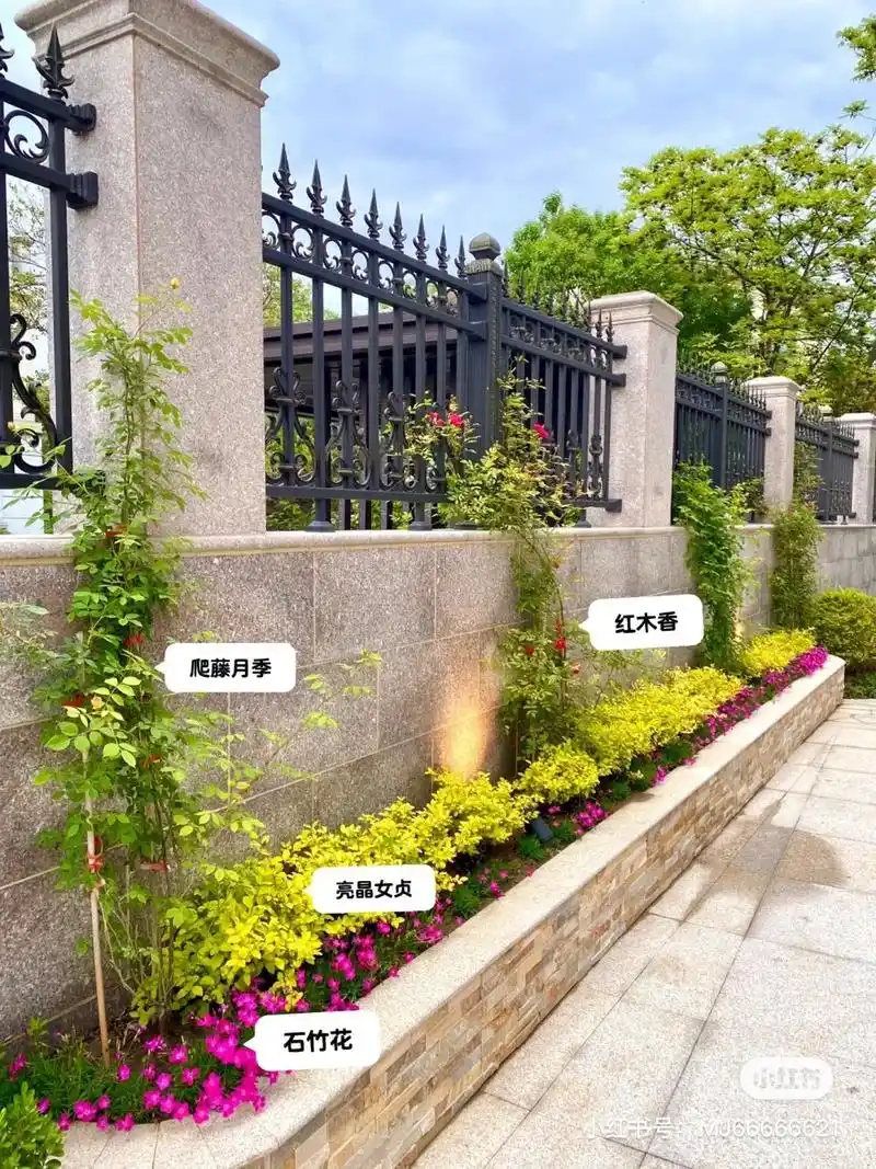 花泾林园艺养护,绿化设计与施工.#别墅庭院花园效果图 #别墅 - 抖音