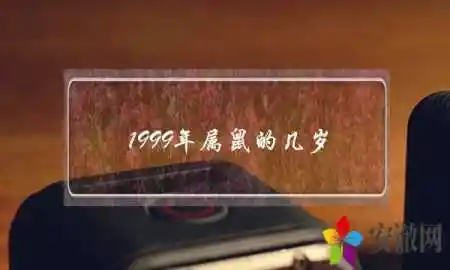 1999年属鼠的几岁1999年是鼠年吗