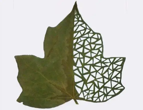 首页 作品欣赏 平面设计 > cut-away leaf art 树叶镂空艺术(2) 时间
