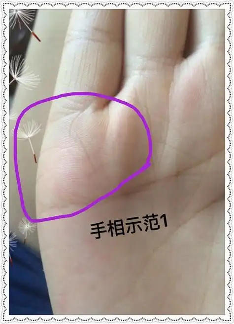 怀孕几个月能看出孩子性别_男人手相能看出有几个孩子吗_男人挂空档能