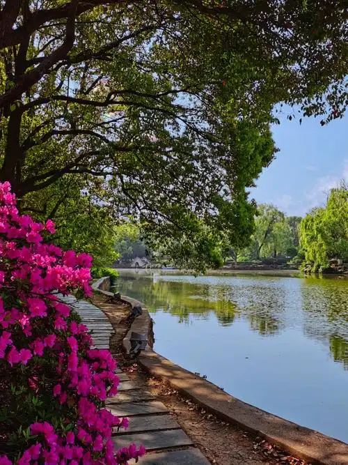 马鞍山雨山湖公园春季2