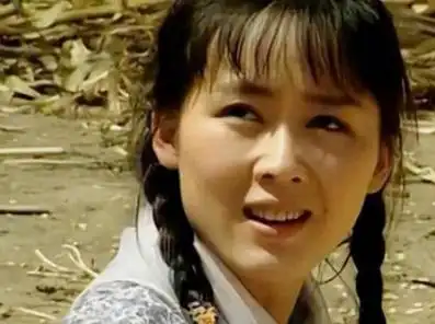 李琳以苦情剧的女主角身份出道,迅速达到了事业巅峰.