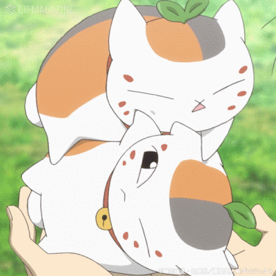 夏目友人帐缘jie