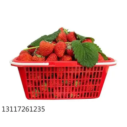 厂家直销手提塑料食用草莓篮子草莓采摘筐水果篮订购量大优惠大