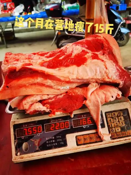 训练营115天教练太狠了奖励我15斤猪肉