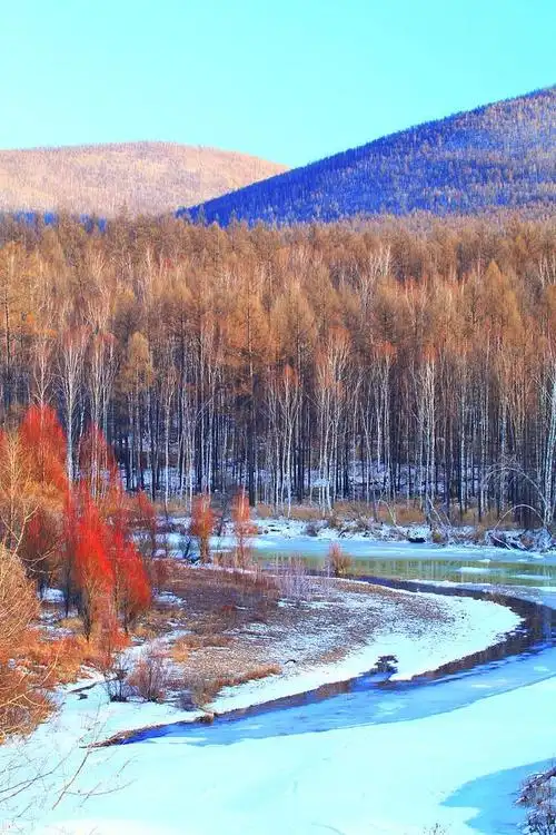 从大兴安岭的广袤森林到松嫩平原的沃土,从哈尔滨的冰雪奇观到