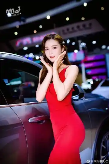 温柔的兔子先森