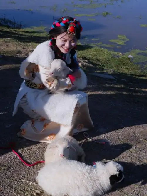 纳帕海穿藏服抱羊羔