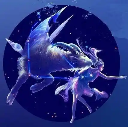 摩羯座高冷还是(摩羯座是高冷还是不高冷)-星座大全-小星座网