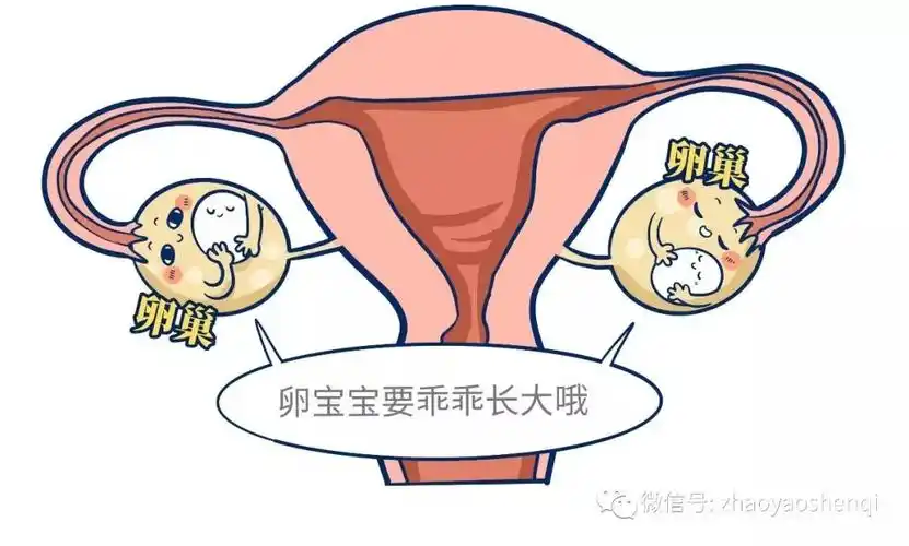 胃肠道不舒服小腹肿块竟然可能是卵巢癌的早期症状