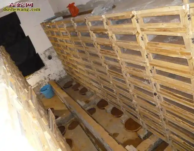 养蛇箱制作蛇箱的设计如制作图片图纸