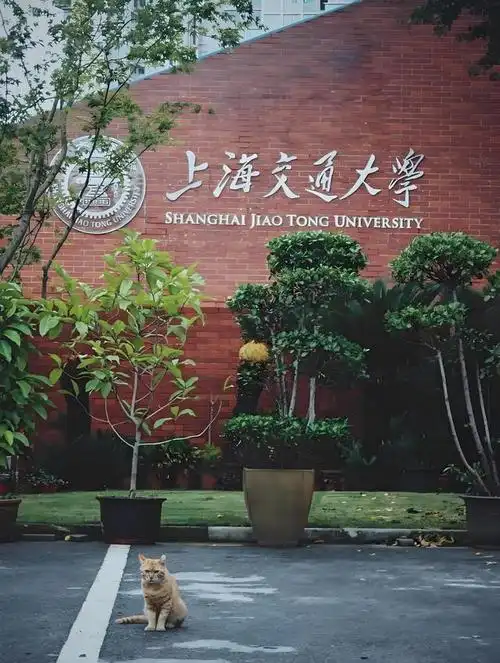 上海交通大学:211与985的双重荣耀|高校|学校|教育|毕业生|上海交大|