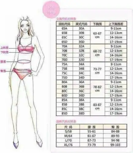 白色内衣240/38是多大