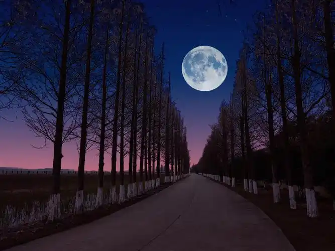 还有比月亮孤单的吗?