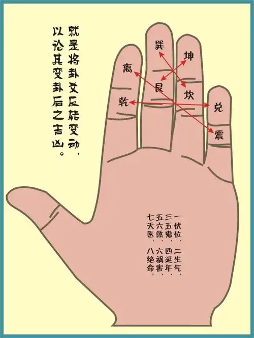 "翻卦掌诀图示▲排山掌诀图示▲地支相刑掌诀图示▲地支相刑:刑者满极