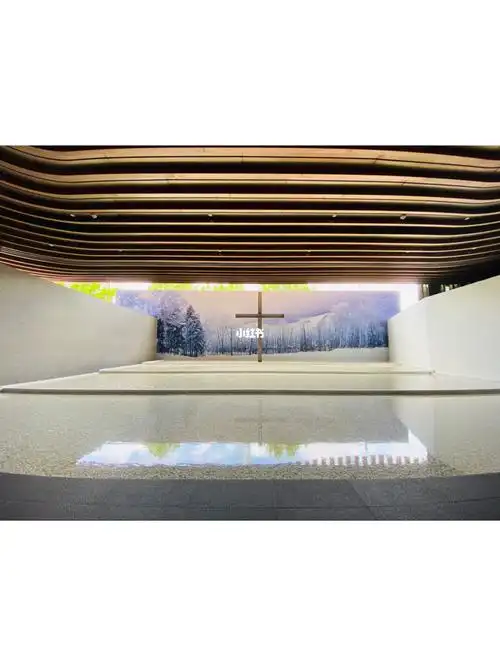 永远的青春安藤忠雄上海展