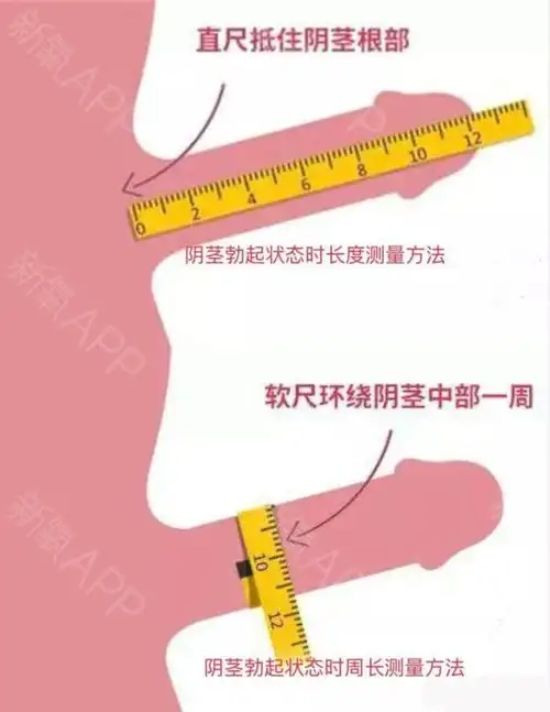 丁丁的测量方法!