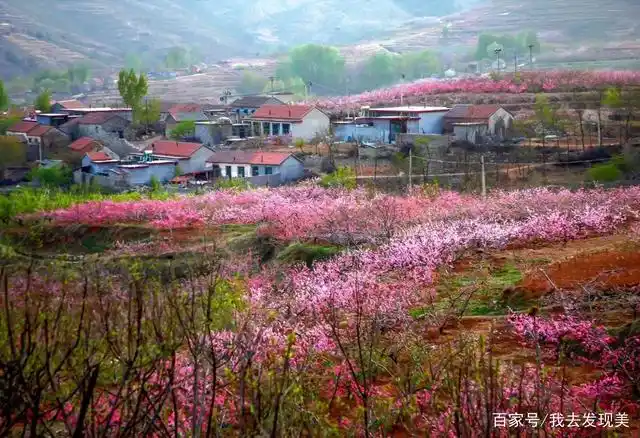 沂蒙那个山上好风光