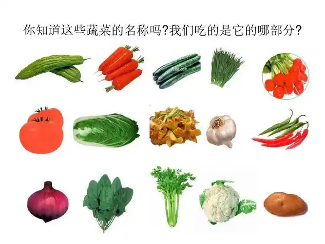 你知道这些蔬菜的名称吗?我们吃的是它的哪部分?