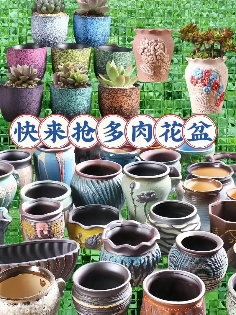 家人们,便宜又好看的多肉花盆来啦!