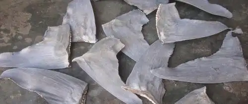 ceo note: grubhub, its time to take shark fin soup off the menu