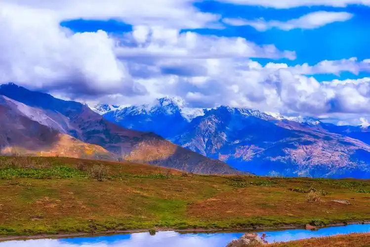 8月上等财运喜鹊送财从1号一直顺到31号的生肖