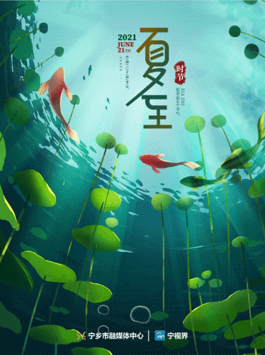 今日夏至愿所有美好如约而至