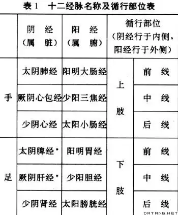 十二经脉病证/中医病机,twelve meridians diseases/path (tcm),音标,